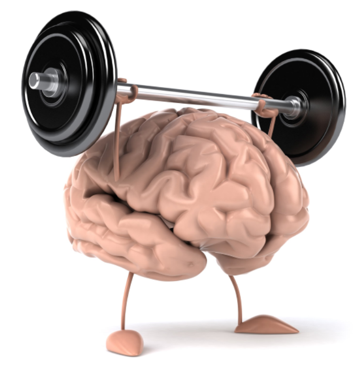 Strong Muscles For A Healthy Brain - Body Transformation Studio